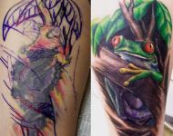 Tree Frog Cover up